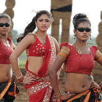Haripriya Exclusive Gallery From Pilla Zamindar Movie | Picture 101840